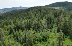 NKA INITIAL PEAK Rd, Cataldo, ID 83810