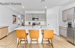 12238 E Rose Frances Drive, Vail, AZ 85641