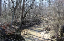 Hart Cemetery Rd, CEDAR GROVE, TN 38321