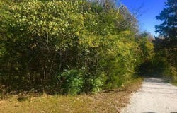 Ance Acres Lane, Reeds Spring, MO 65737