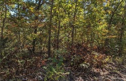 24990 Blue Waters Rd, Versailles, MO 65084