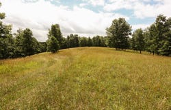 HWY NN, Mountain View, MO 65548