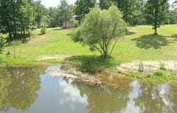 4393 CR 46, Henderson, AR 72544