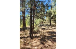 E River Drive, Featherville, ID 83647
