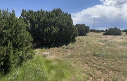 20 County Road 5203, Concho, AZ 85924