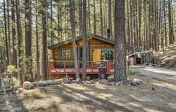 77 Ox Bow, Markleeville, CA 96120
