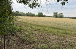 Bodie Road, Pelion, SC 29123