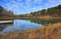 Ross Hollow Road, Bigelow, AR 72016