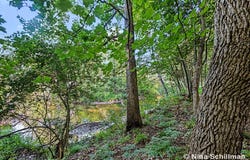 3754 E White River, Hesperia, MI 49421