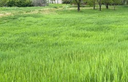 1961 Bitterroot Dr., Sidney, MT 59270