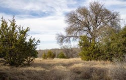 Whitetail Trail, San Saba, TX 76877