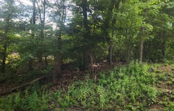 Robbins Road, Chicopee, MA 01020