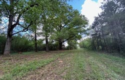 Vaniel Holmes Road, Tylertown, MS 39667
