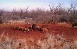 T B D FM 600, Haskell, TX 79521