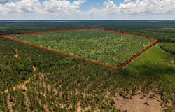 Parcel # 12446 CR 460, Etoile, TX 75944