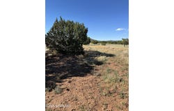 871 E Alimos Way, Williams, AZ 86046