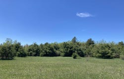 W Miller Road, Mio, MI 49647