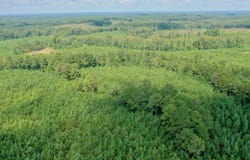 Tower Road, Franklin, GA 30240
