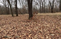 340, Jay, OK 74346