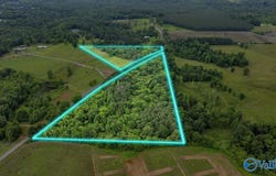 1639 County Road 368, Section, AL 35771