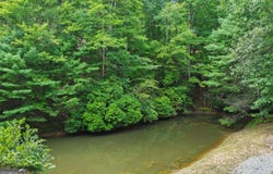 322 Honeysuckle Way, Blue Ridge, GA 30513