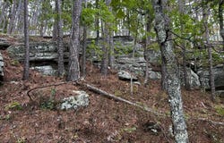 34771 Mo-14, Ava, MO 65608