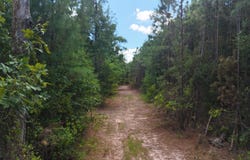 Bradley Road, Banks, AR 71631