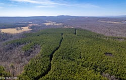 Lower Rockwood Rd Lot 18, Rockwood, TN 37854