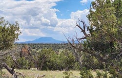 87 Warpath Rd, Quemado, NM 87829