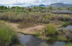 4200 N, Mackay, ID 83251