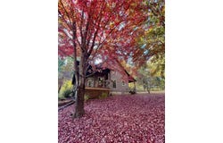 91 NC 2302, Jasper, AR 72641