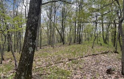 Cold Spring Road, Milan, NY 12514