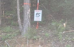 TRACTS 5-6 CARROLL HOLLOW Rd lot: 5,6, Waynesboro, TN 38485