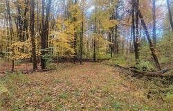 Schaen Drive, Andover, OH 44003