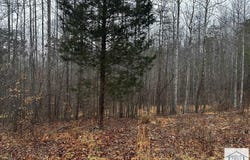 Lauren Mill Dr, Fieldale, VA 24089