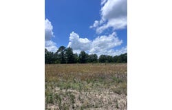 001 Highway 177, Wallace, SC 29596