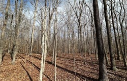 Lot 2 Dogtown Rd, Sandy Hook, VA 23063