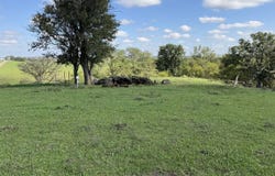 1790 Eaton Ave, Leighton, IA 50143
