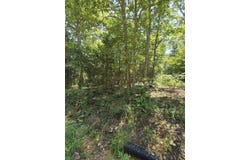 0001 County Road 421, Birch Tree, MO 65438