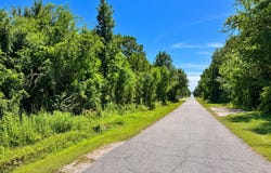 5236 Forrest Avenue, Bay Saint Louis, MS 39520