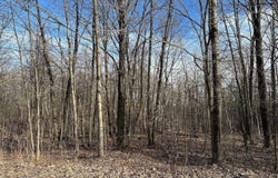 Dellwood lot: 351, Elmira, MI 49730