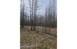 Sanderson Road, Mercer, TN 38392