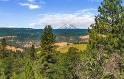 NKA Rowland Rd, Lyle, WA 98635