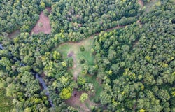 1 SAWYERS COVE ROAD lot: 0, CALERA, AL 35040