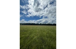 195 PR 33267, Sumner, TX 75486