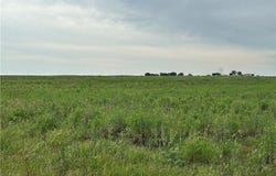 Gooseneck Road, Bartlett, TX 76511
