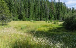 NKA 96 AC Highway 6, Harvard, ID 83834