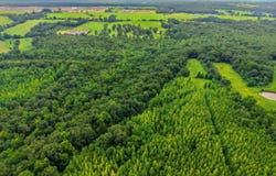 Black Hill Rd., Damascus, AR 72054
