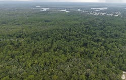 162 Carriage Pl, FL 32189