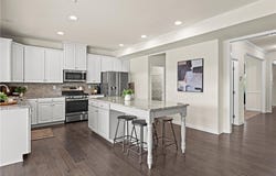 16866 White Daisy Loop, Moseley, VA 23120